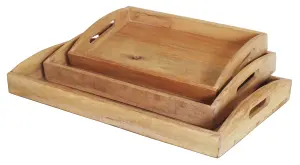 Набор подносов из дерева манго